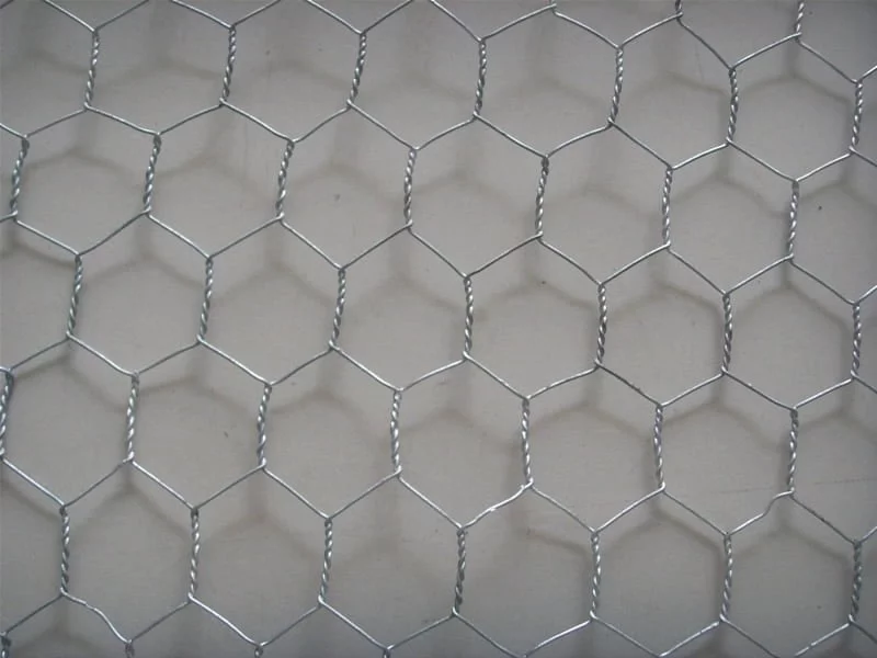 Hexagonal Poultry Farm Wire Net at Rs 405/kilogram in Coimbatore